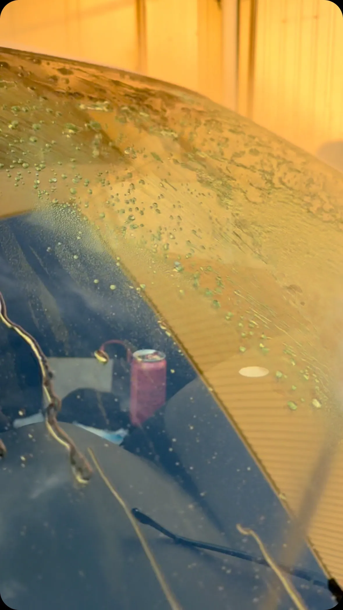 【梅雨前の今がチャンス！】